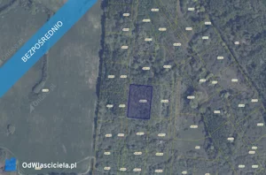 Działka 3 020,00 m², Pręgowo, Sprzedaż