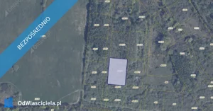 Działka 3 020,00 m², Pręgowo, Sprzedaż