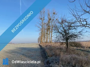 Działka 7 419,00 m², Sowno, Sprzedaż