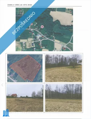 Działka 6 504,00 m², Stróże, Sprzedaż