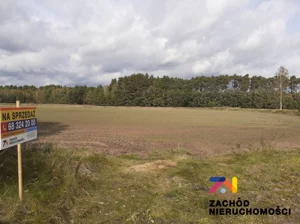 Działka 16 800,00 m², Bieżyce, Sprzedaż