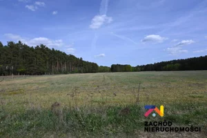 Działka 3 020,00 m², Bronków, Sprzedaż