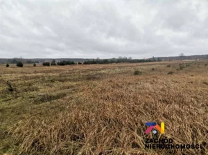 Działka 1 350,00 m², Czarna, Sprzedaż