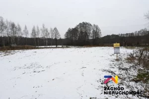 Działka 988,00 m², Czarna, Sprzedaż