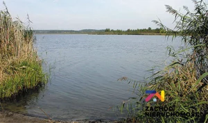 Działka 698,00 m², Dąbrowa, Sprzedaż