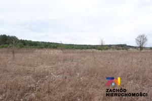 Działka 10 000,00 m², Dąbrowa, Sprzedaż