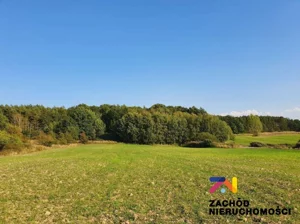 Działka 1 565,00 m², Drągowina, Sprzedaż