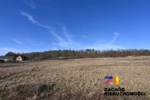 Działka 1 565,00 m², Drągowina, Sprzedaż