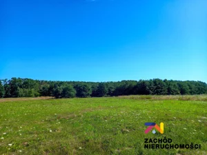 Działka 25 341,00 m², Droszków, Wynajem