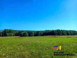 Działka 10 000,00 m², Droszków, Wynajem