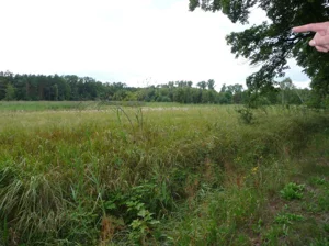 Działka 54 800,00 m², Dychów, Sprzedaż