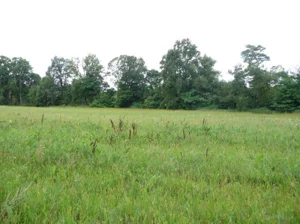 Działka 2 500,00 m², Dychów, Sprzedaż