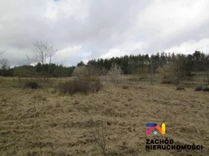 Działka 3 997,00 m², Górzykowo, Sprzedaż