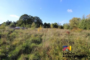 Działka 4 675,00 m², Nowogród Bobrzański, Henryka Brodatego, Sprzedaż