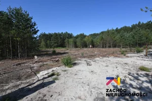 Działka 2 326,00 m², Kaczenice, Sprzedaż