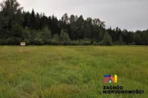 Działka 3 029,00 m², Krzywczyce, Sprzedaż