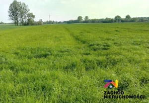 Działka 1 587,00 m², Książ Śląski, Sprzedaż