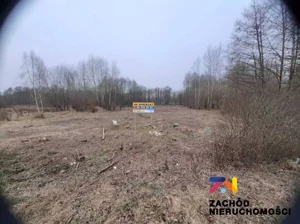 Działka 4 007,00 m², Mirocin Dolny, Sprzedaż