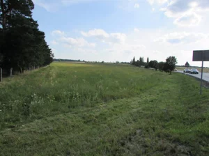 Działka 169 000,00 m², Nowogród Bobrzański, Sprzedaż