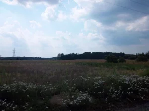 Działka 15 063,00 m², Radnica, Sprzedaż