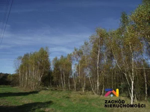 Działka 1 200,00 m², Radomia, Sprzedaż