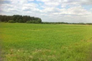 Działka 4 600,00 m², Radwanów, Sprzedaż