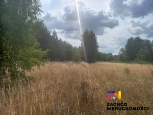 Działka 24 000,00 m², Świdnica, Sprzedaż