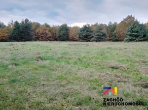 Działka 1 064,00 m², Świdnica, Sprzedaż