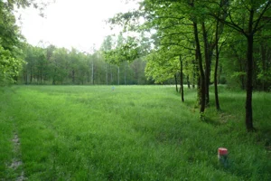 Działka 4 900,00 m², Świdnica, Sprzedaż