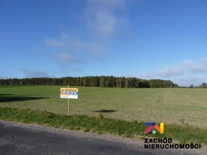 Działka 12 700,00 m², Świebodzin, Sprzedaż