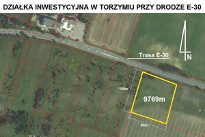 Działka 9 769,00 m², Torzym, Sprzedaż