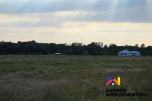 Działka 16 077,00 m², Zielona Góra, Ochla, ul.Działkowa, Wynajem