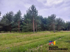Działka 2 880,00 m², Zabór, Sprzedaż