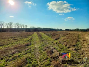 Działka 2 491,00 m², Zabór, Sprzedaż