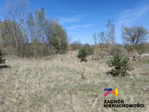 Działka 560,00 m², Zabór, Sprzedaż