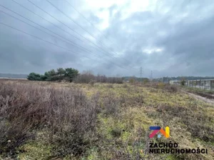 Działka 5 613,00 m², Zielona Góra, Sprzedaż