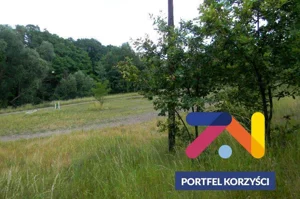 Działka 7 300,00 m², Zielona Góra, Sprzedaż