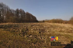 Działka 6 400,00 m², Zielona Góra, Jany, Sprzedaż