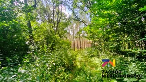 Działka 1 033,00 m², Zielona Góra, Ochla, Sprzedaż