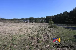 Działka 37 813,00 m², Zielona Góra, Przylep, Sprzedaż