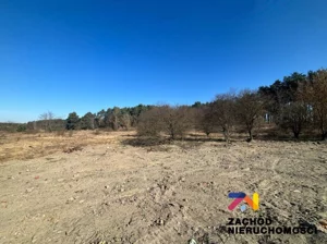 Działka 1 068,00 m², Zielona Góra, Przylep, Sprzedaż