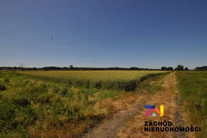 Działka 46 675,00 m², Zielona Góra, Zawada, Sprzedaż