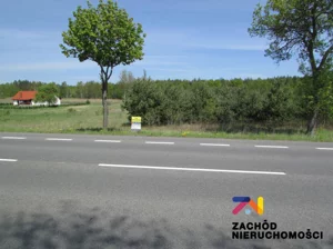 Działka 6 000,00 m², Zimna Brzeźnica, Sprzedaż