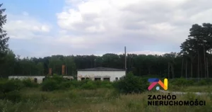 Lokal użytkowy 1 396,00 m², Chocianowiec, Sprzedaż