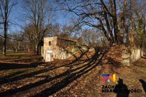 Lokal użytkowy 800,00 m², Żary, Sprzedaż
