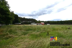 Lokal użytkowy 23 200,00 m², Zielona Góra, Sprzedaż