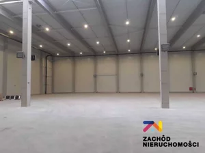 Lokal użytkowy 2 767,00 m², Zielona Góra, Wynajem