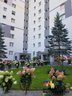 Mieszkanie dwupokojowe 49,70 m², Zielona Góra, Osiedle Pomorskie, Sprzedaż
