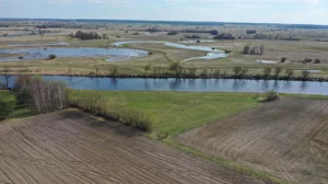 Działka 8 364,00 m², Bronowo, Sprzedaż