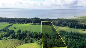 Działka 15 433,00 m², Dziubiele, Sprzedaż